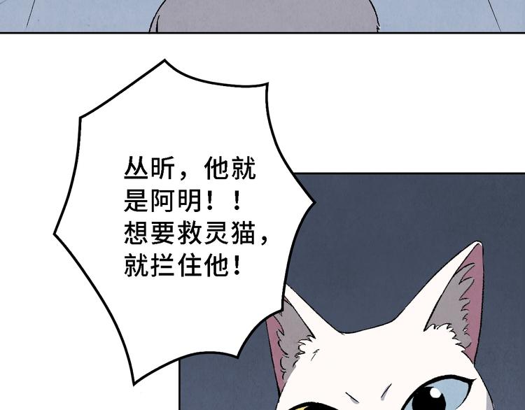 《渡猫师》第17话 拯救灵猫 第31页