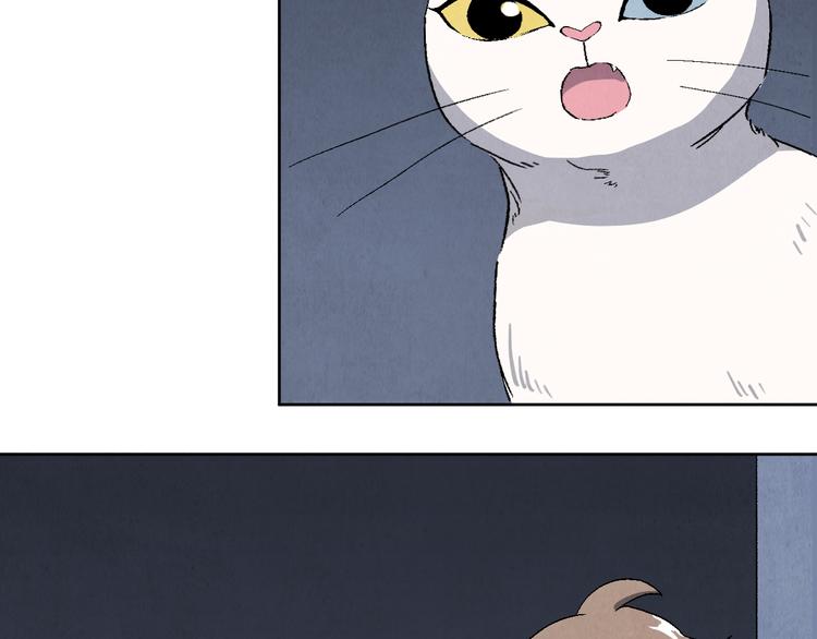 《渡猫师》第17话 拯救灵猫 第32页
