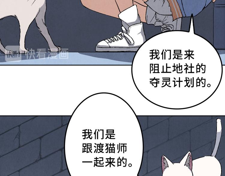 《渡猫师》第17话 拯救灵猫 第34页