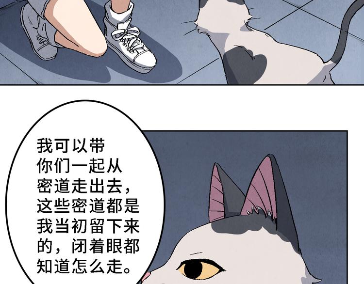 《渡猫师》第17话 拯救灵猫 第36页