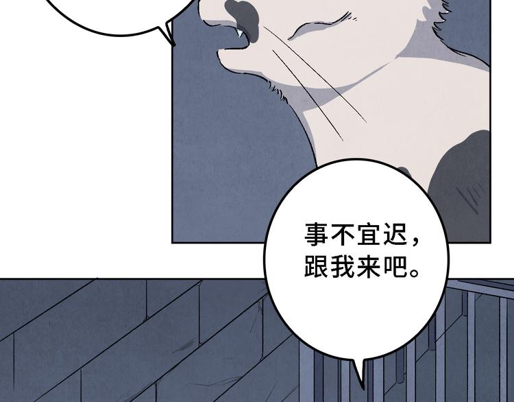 《渡猫师》第17话 拯救灵猫 第37页