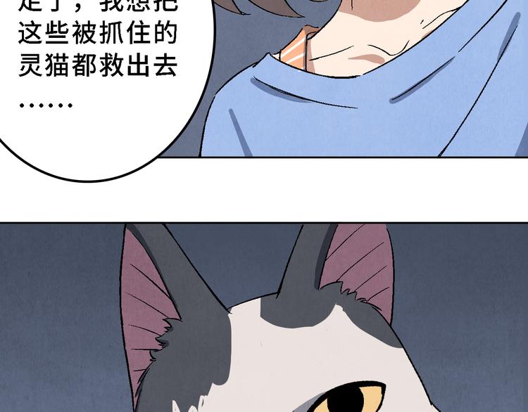 《渡猫师》第17话 拯救灵猫 第40页