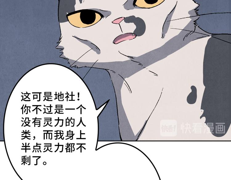 《渡猫师》第17话 拯救灵猫 第41页