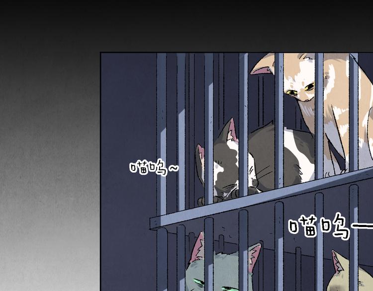 《渡猫师》第17话 拯救灵猫 第7页
