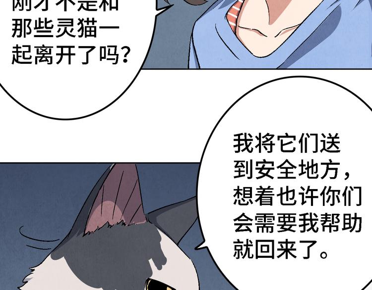 《渡猫师》第21话 真相（中） 第11页