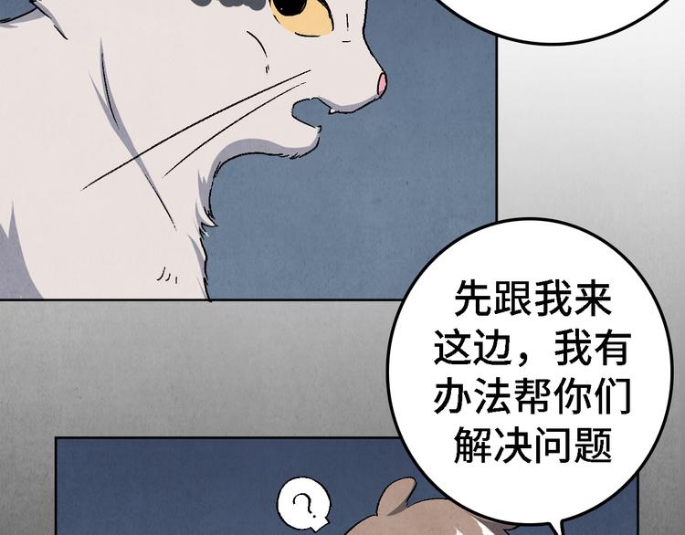 《渡猫师》第21话 真相（中） 第12页