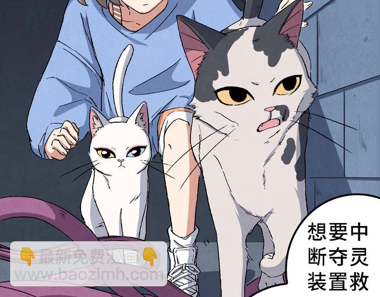 《渡猫师》第21话 真相（中） 第21页