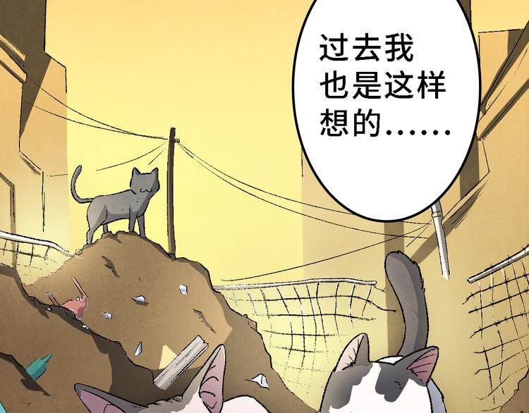 《渡猫师》第21话 真相（中） 第40页