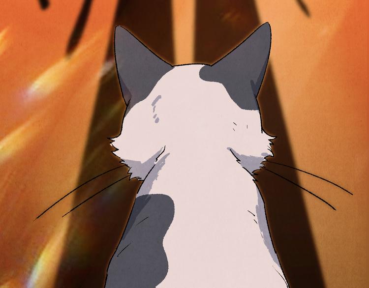 《渡猫师》第21话 真相（中） 第46页