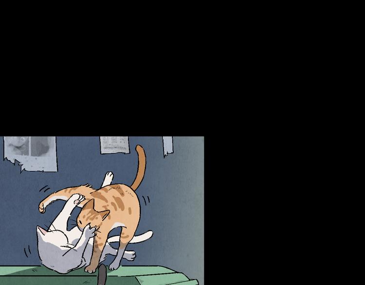 《渡猫师》番外 初遇 第10页