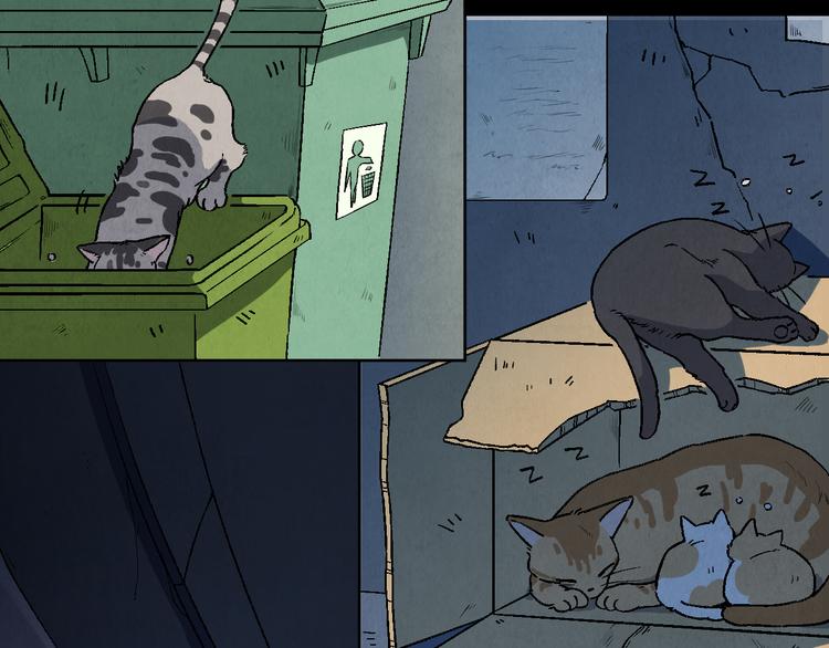 《渡猫师》番外 初遇 第11页