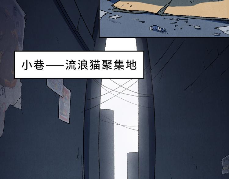 《渡猫师》番外 初遇 第12页