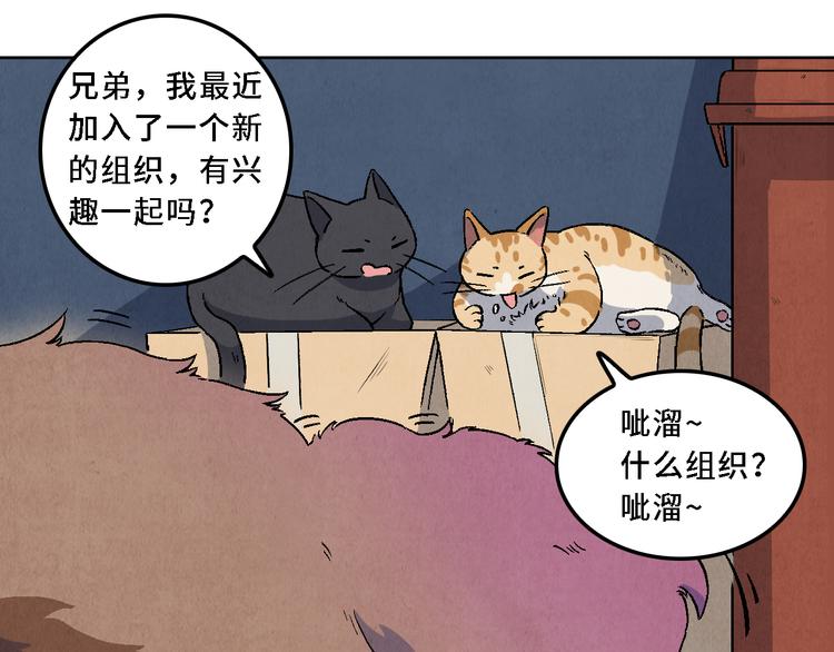 《渡猫师》番外 初遇 第15页