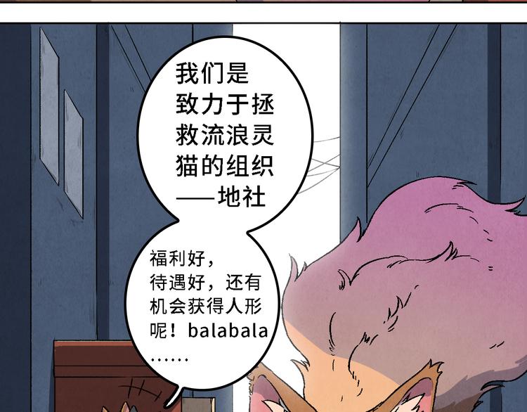 《渡猫师》番外 初遇 第16页