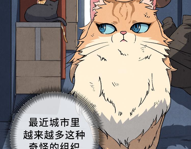 《渡猫师》番外 初遇 第17页