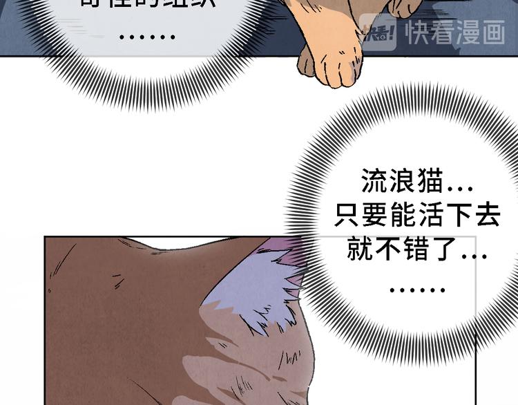 《渡猫师》番外 初遇 第18页