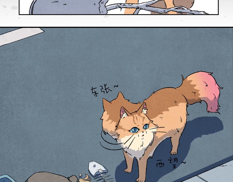 《渡猫师》番外 初遇 第22页