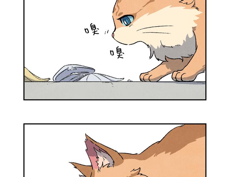 《渡猫师》番外 初遇 第24页