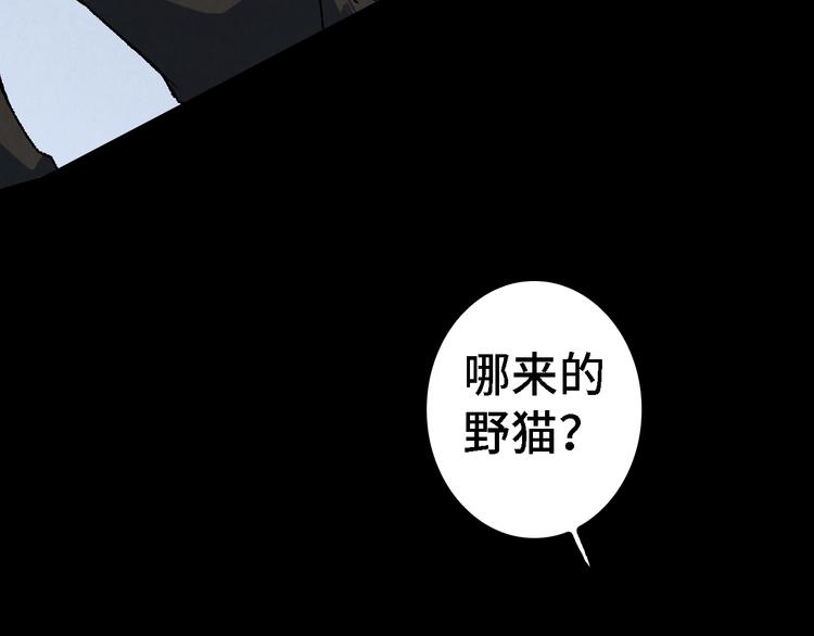 《渡猫师》番外 初遇 第41页