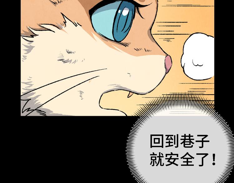 《渡猫师》番外 初遇 第45页