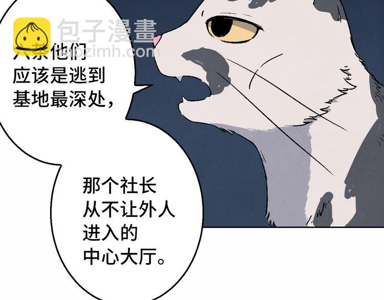 《渡猫师》第23话 前夕 第18页