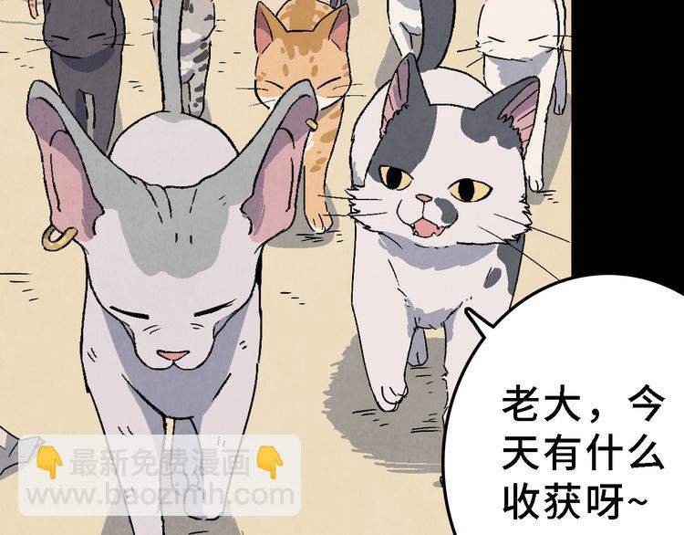 《渡猫师》第25话 终局 第49页