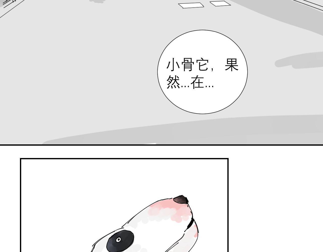 《三人行》狗狗可是很聪明的动物啊 第37页