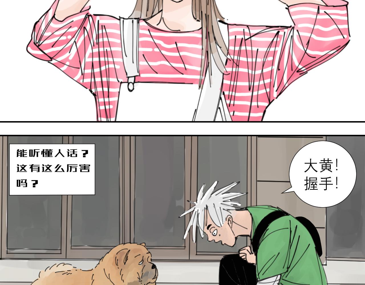 《三人行》狗狗可是很聪明的动物啊 第6页