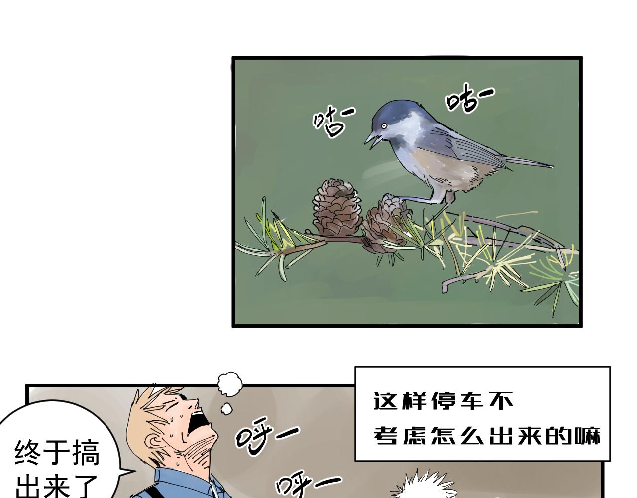 《三人行》隐世的高手 第41页
