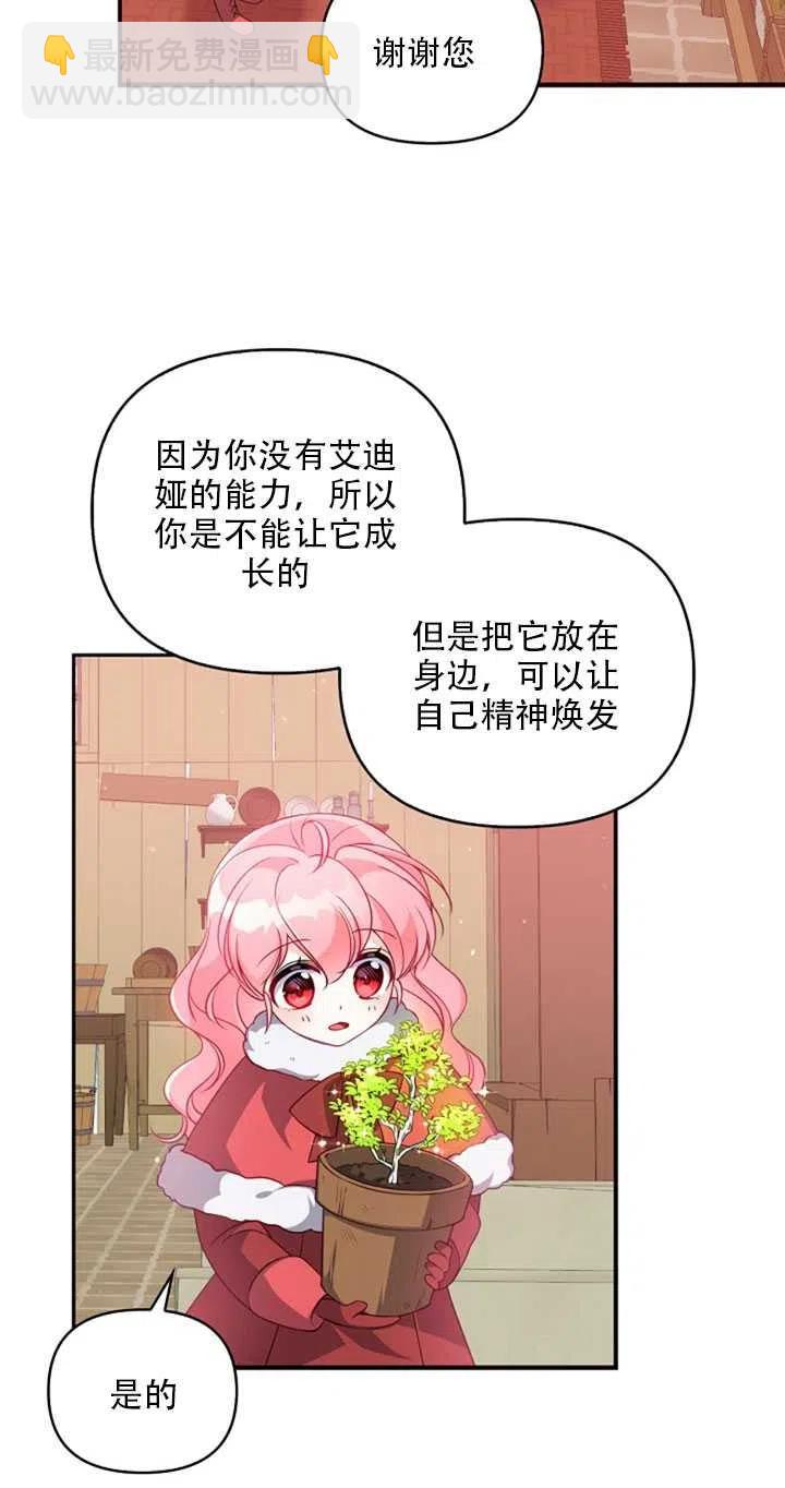 《恶棍公爵的宝贝妹妹》第21话 第39页