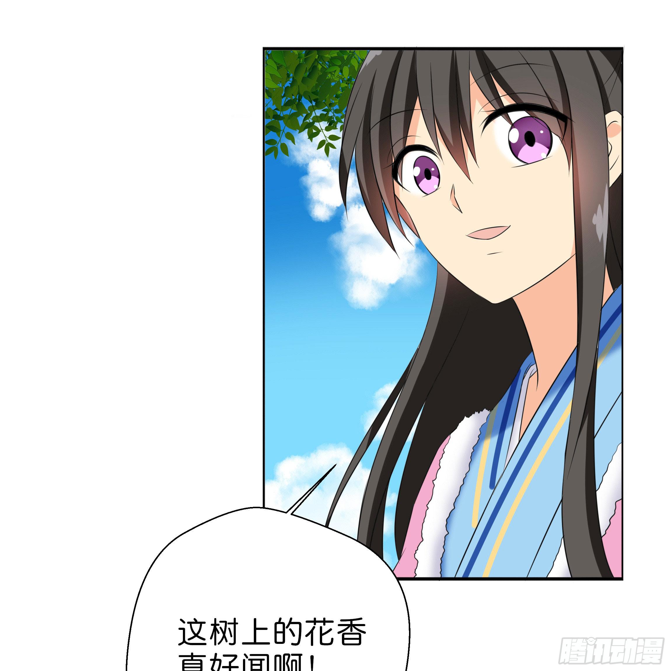 《南子传》最耀眼的星辰 第29页