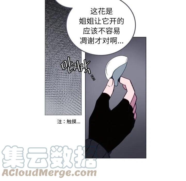 《奥兹 T》36 第37页