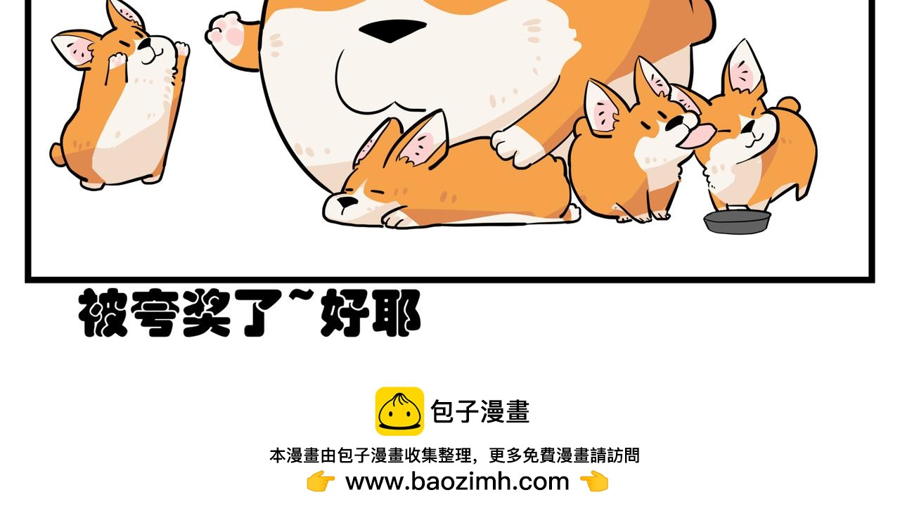 《司基拉》谁是谁祖宗？ 第13页