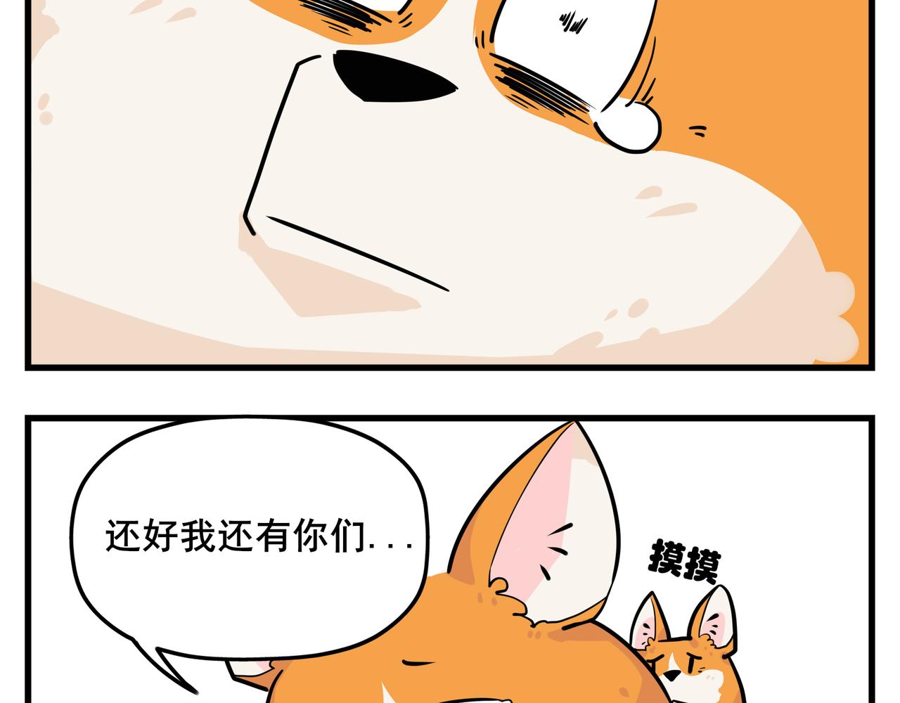 《司基拉》你总是心太软 第12页