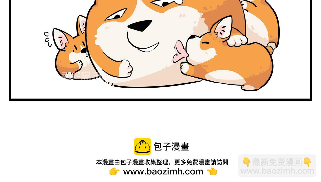 《司基拉》你总是心太软 第13页