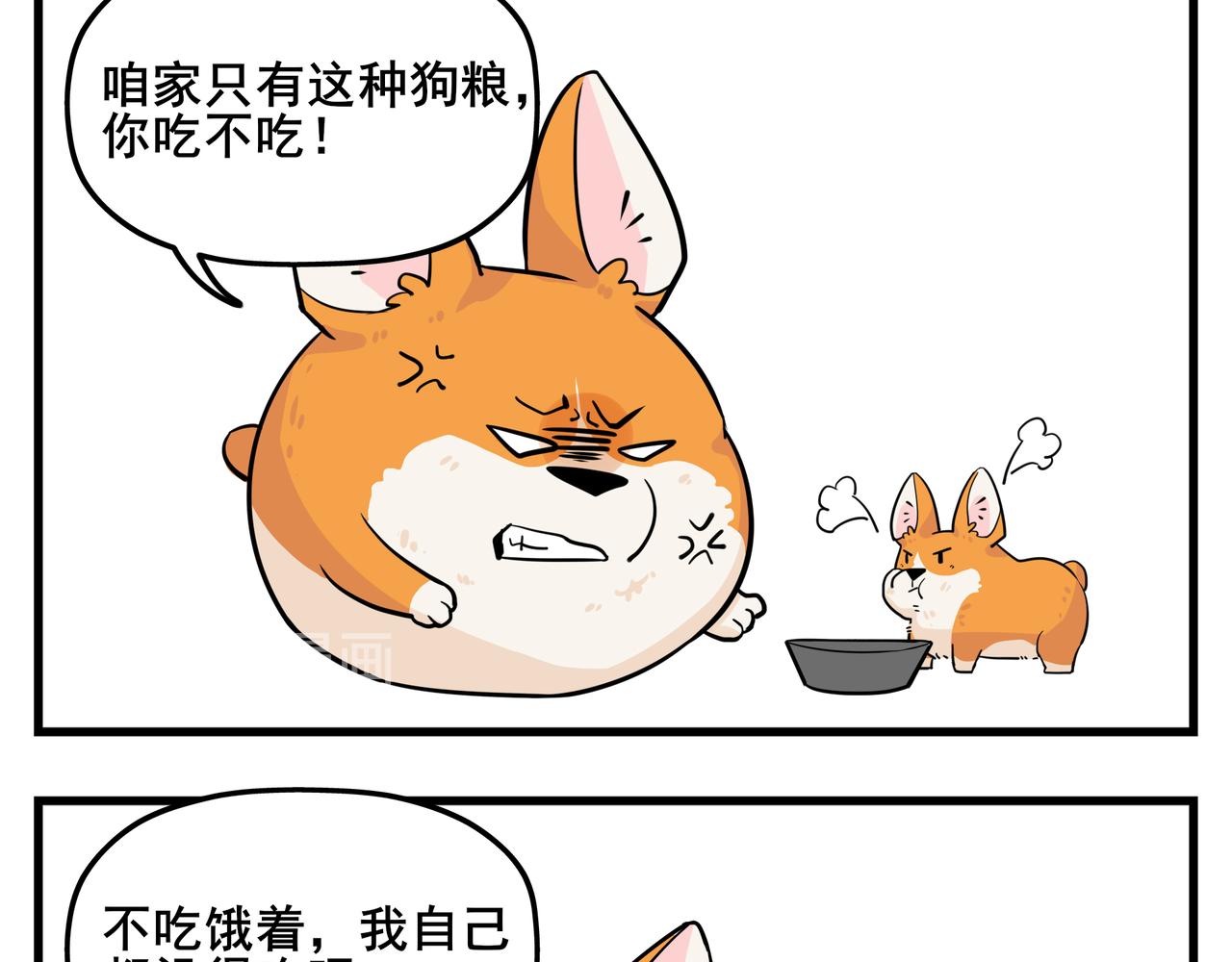 《司基拉》你总是心太软 第5页