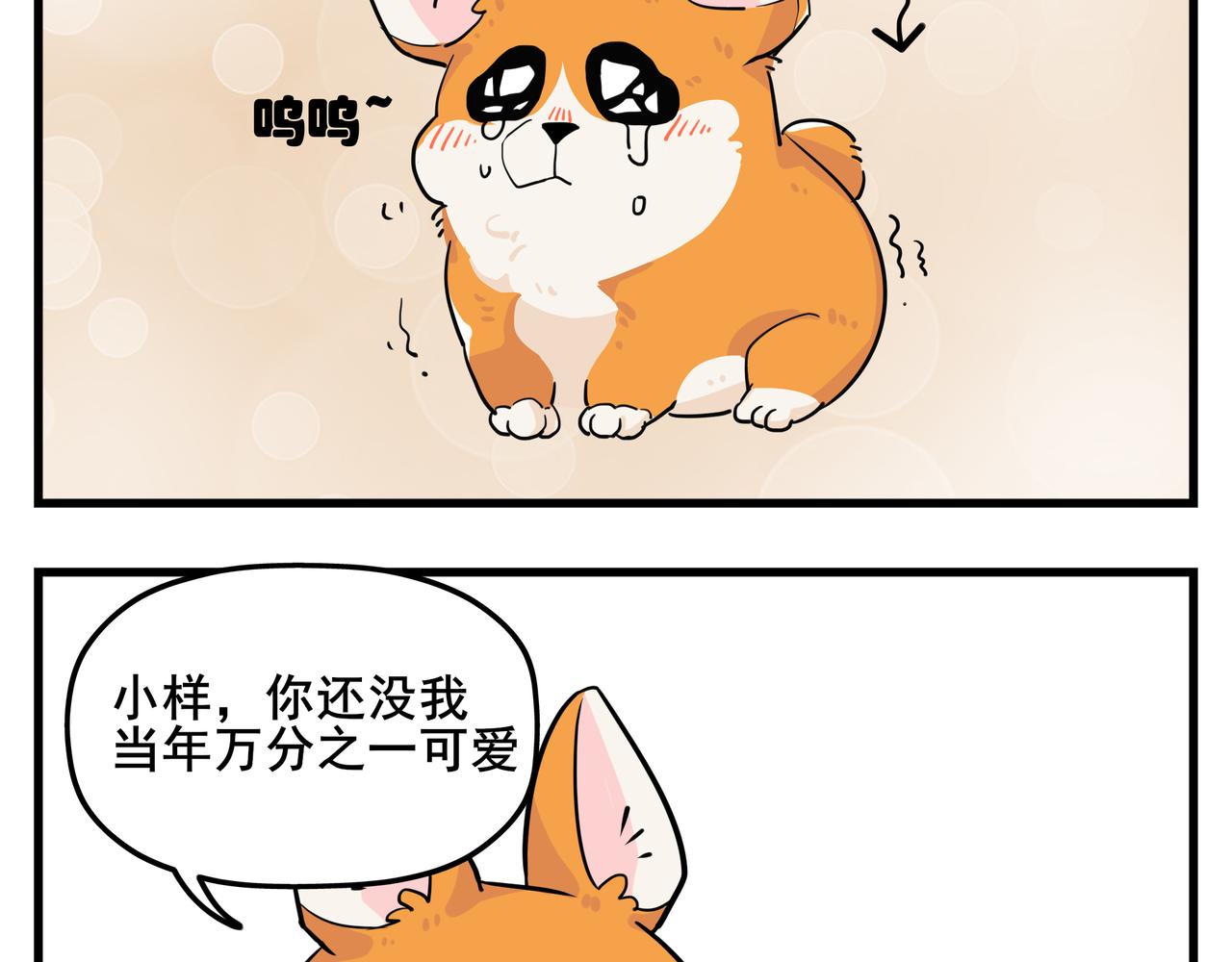 《司基拉》你总是心太软 第7页