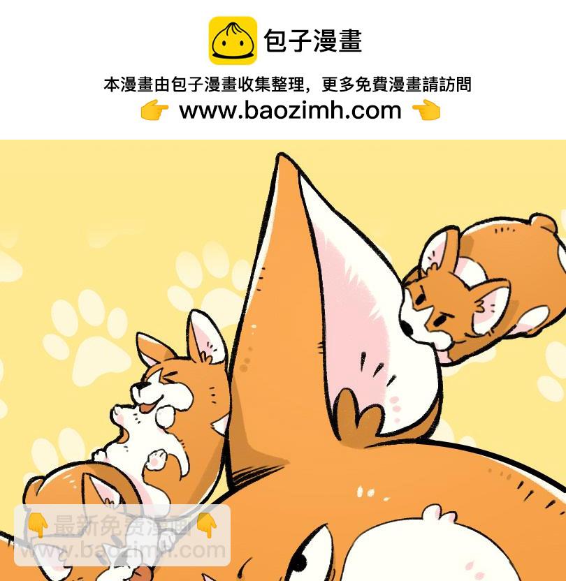 《司基拉》司基拉的前半生 第2页