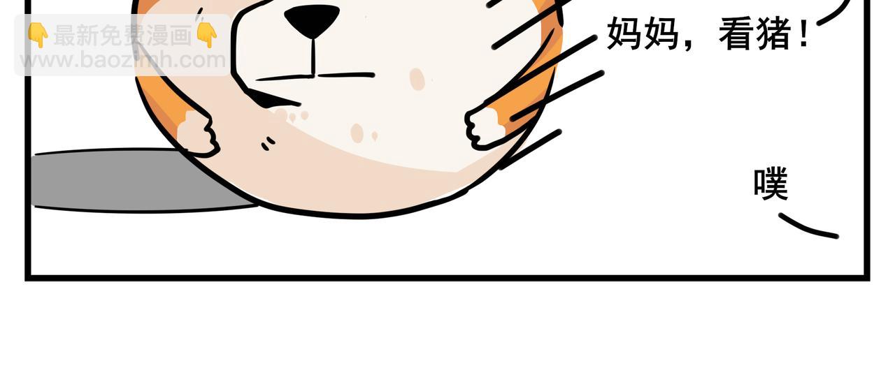 《司基拉》司基拉的前半生 第8页
