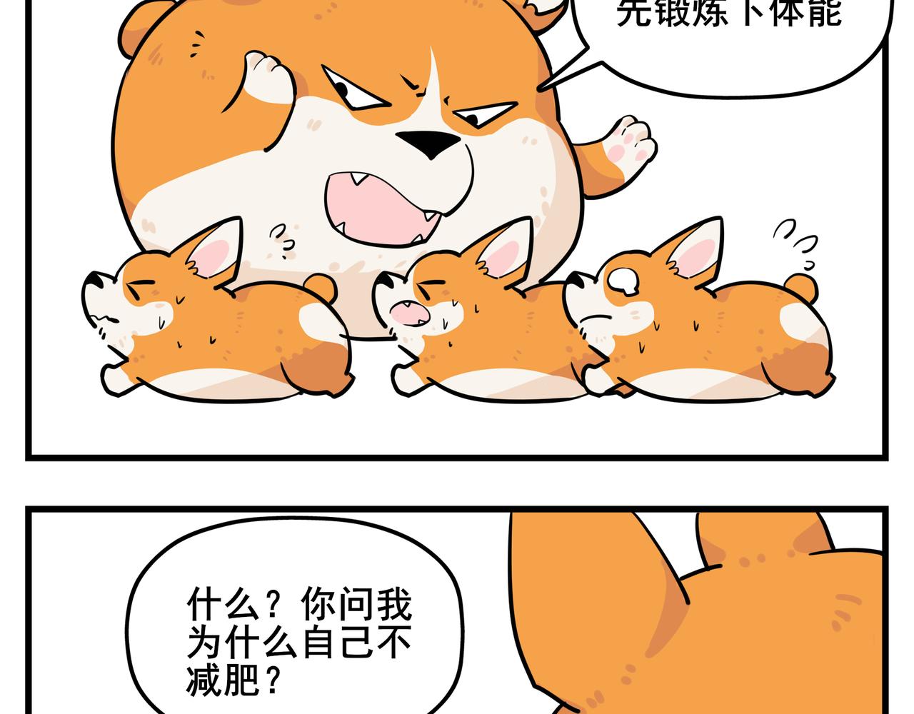 《司基拉》司基拉的训练 第11页