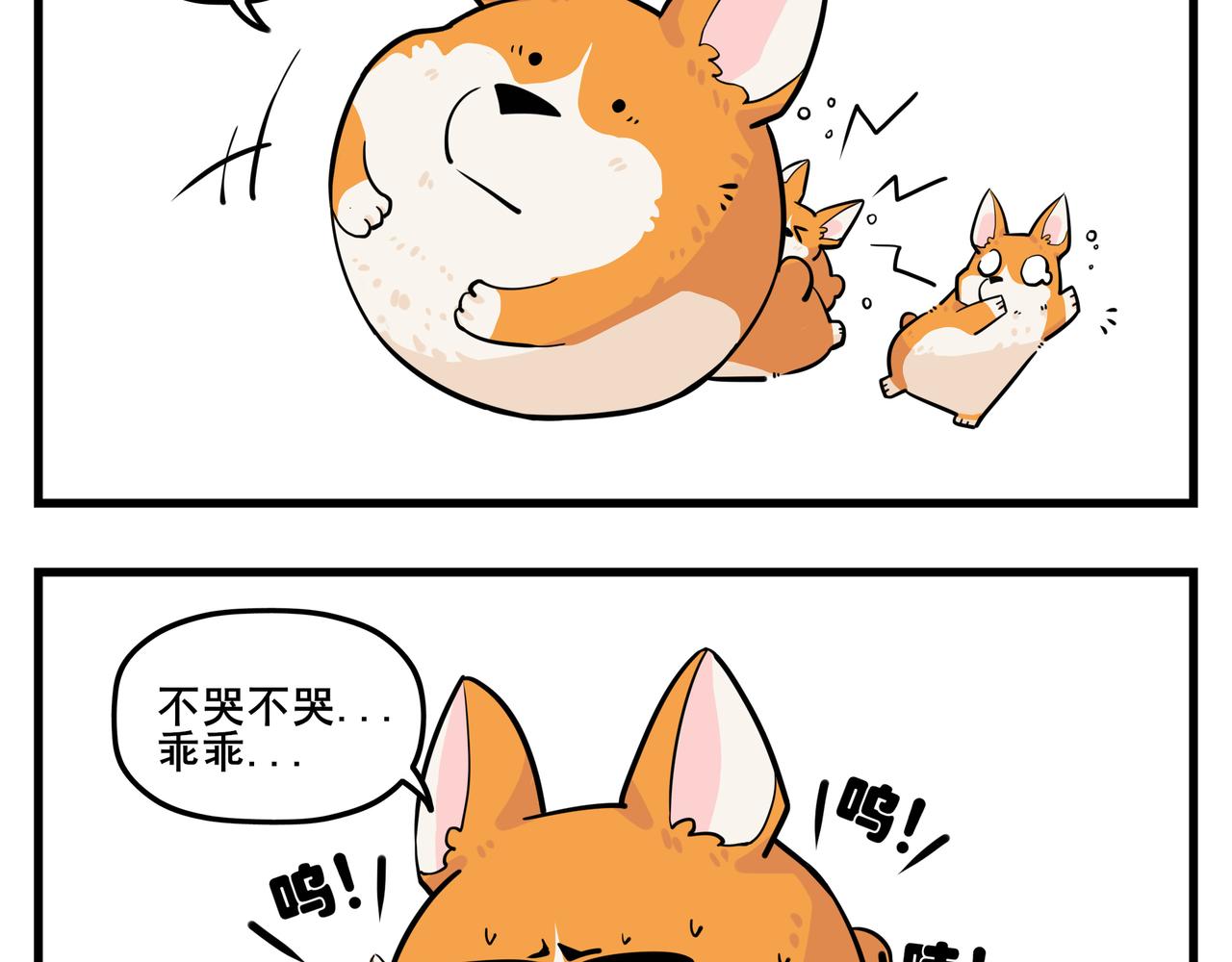 《司基拉》司基拉的训练 第7页