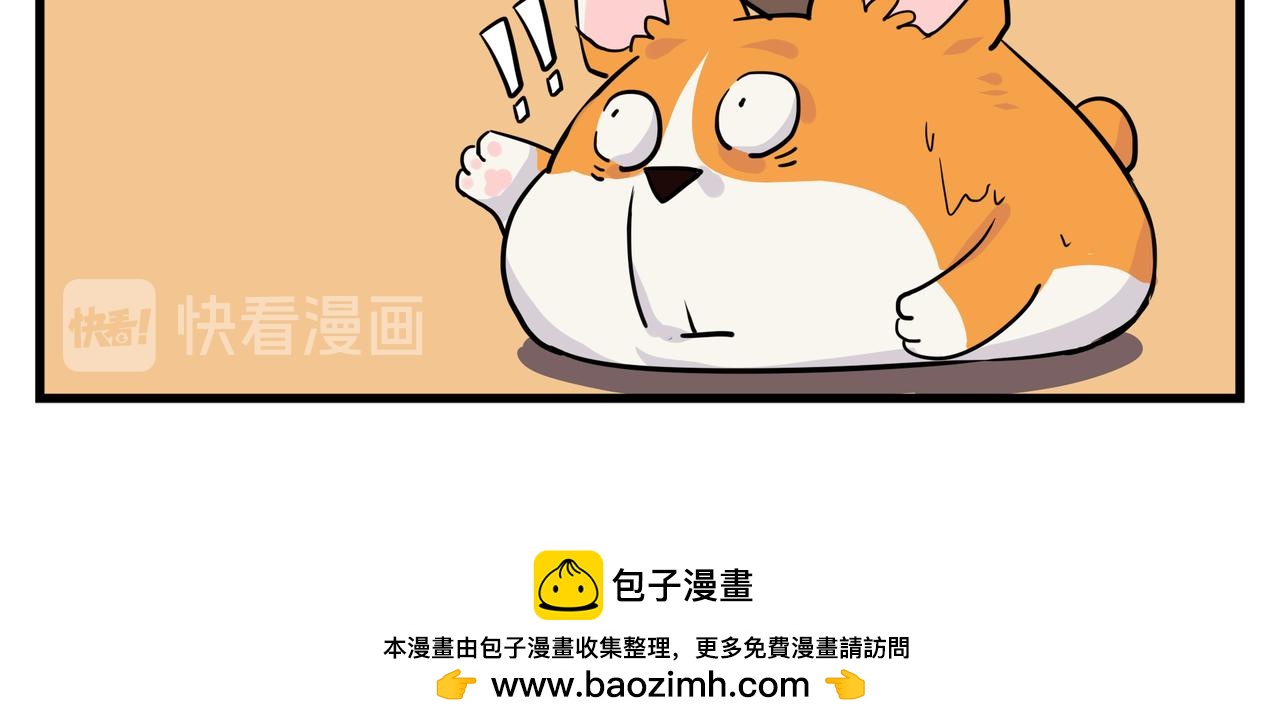 《司基拉》获得萌力！ 第13页