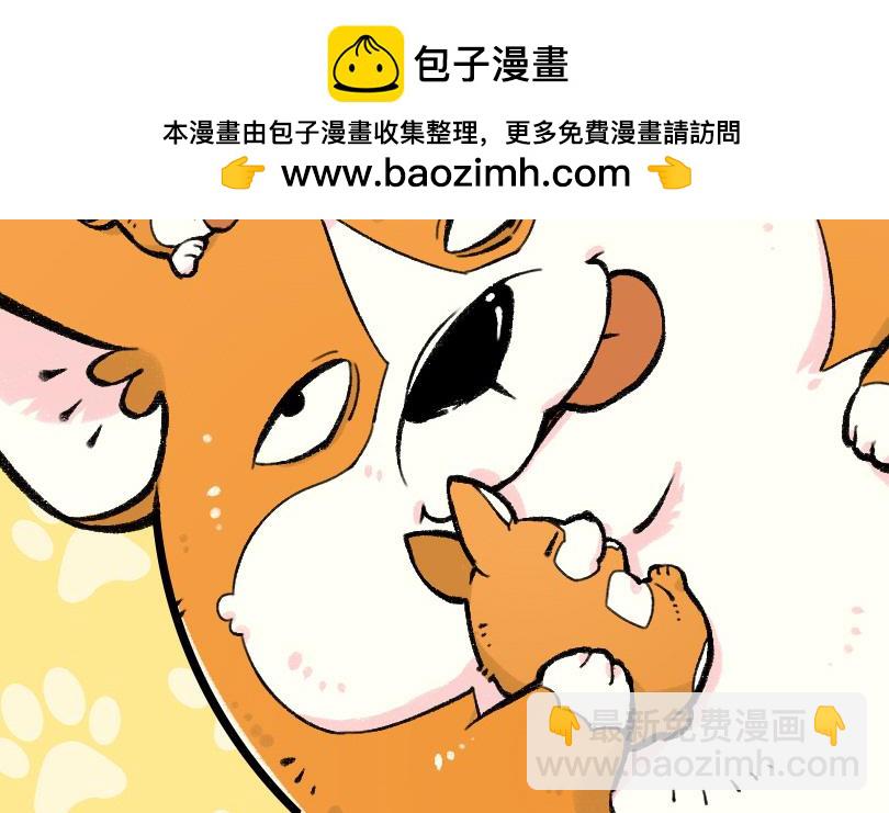 《司基拉》获得萌力！ 第3页