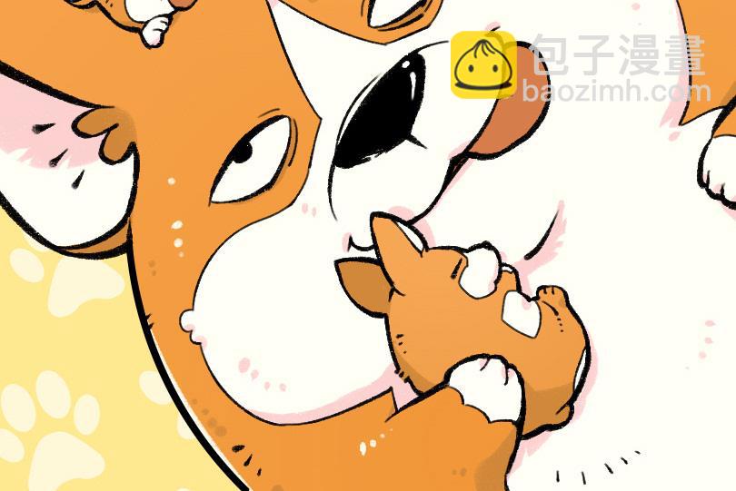 《司基拉》波姬的屁股！！ 第3页
