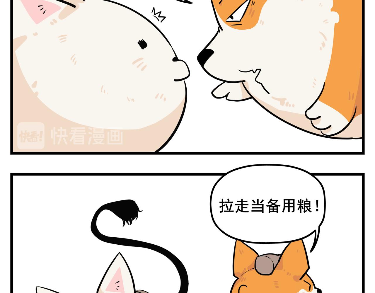 《司基拉》女的！？ 第12页