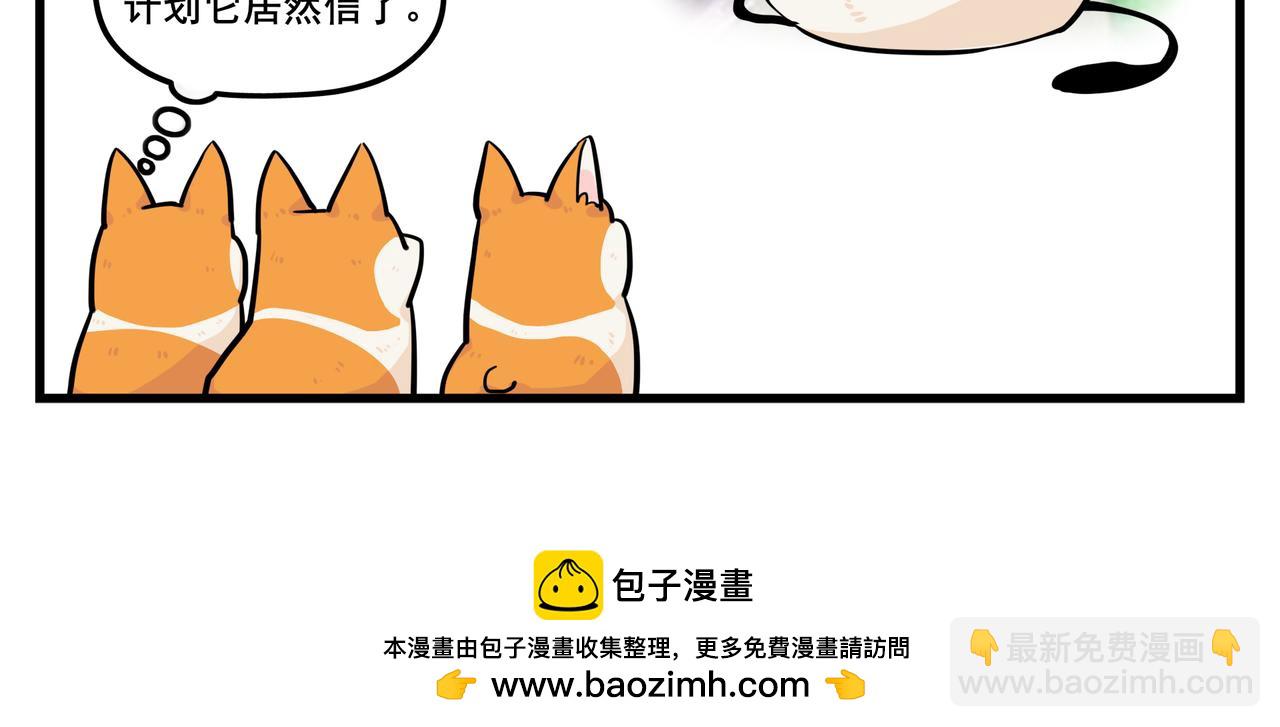 《司基拉》大胆的想法？ 第13页