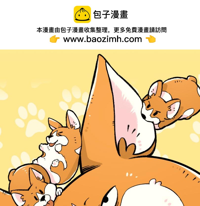 《司基拉》大胆的想法？ 第2页