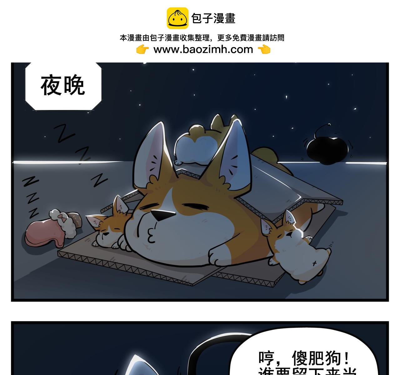 《司基拉》大胆的想法？ 第5页