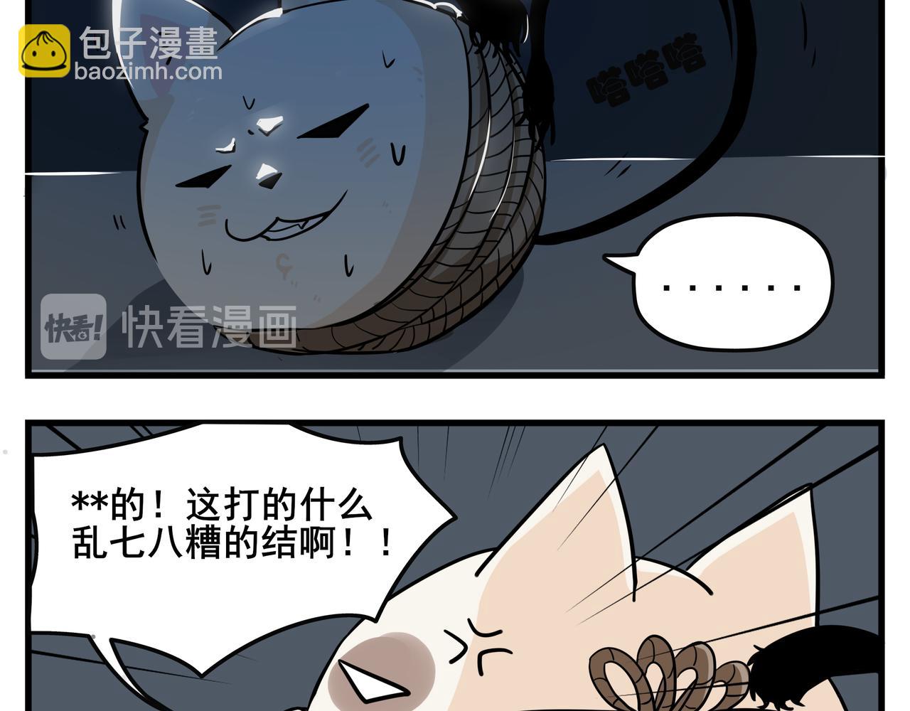 《司基拉》大胆的想法？ 第7页