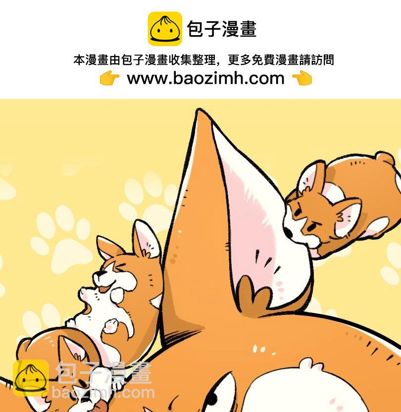 《司基拉》这不是坑爹吗！！？ 第2页